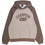 Champion - Hooded Sweatshirt Phys Ed Mn - Herren Kapuzenpullover mit Schriftzug - Braun/Beige (MDNM/LHB)